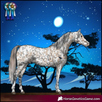 Horse Color:Bay Dun Appaloosa and Black Appaloosa