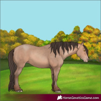 Horse Color:Amber Champagne Rabicano 