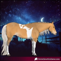 Horse Color:Silver Buckskin Tobiano 