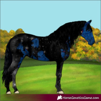 Horse Color:ERROR: UNKNOWN ANOMALY