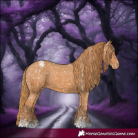 Horse Color:Chestnut Snowflake Varnish  and Chestnut Snowflake Varnish 