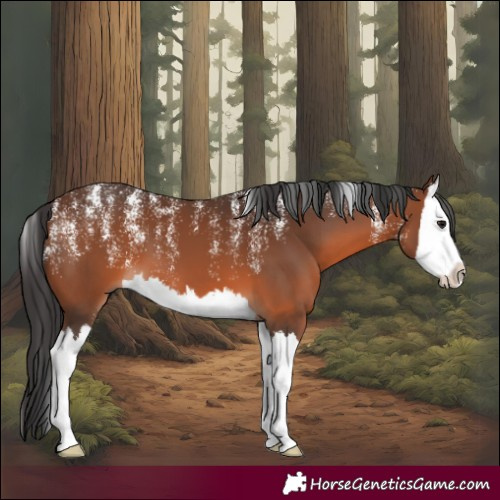 Horse Color:Powder White Brown Splash 
