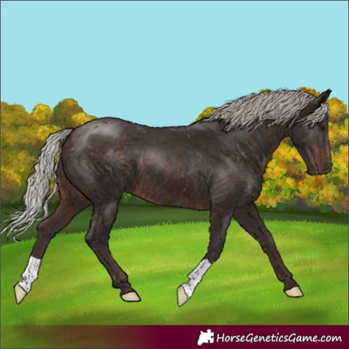 Horse Color:Silver Brown 