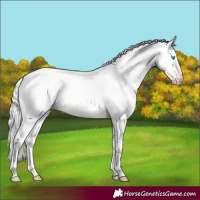 Horse Color:Silver Perlino Dun 