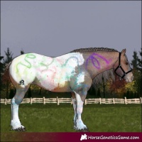 Horse Color:Bay Tobiano Snowcap