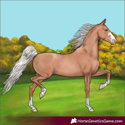 Horse Color:Silver Sable Champagne 