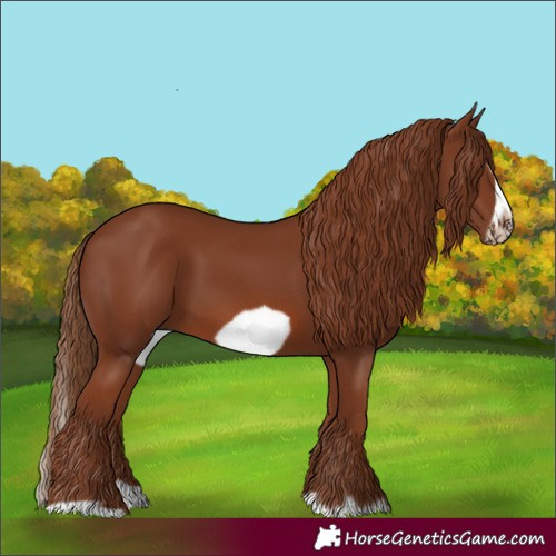 Horse Color:Chestnut Splash Frame