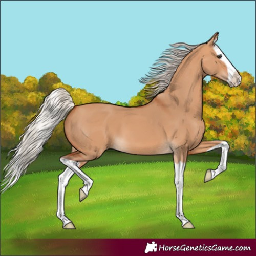 Horse Color:Silver Bay Dun Splash 