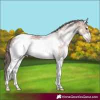 Horse Color:White Spotted Classic Champagne Tobiano Frame 