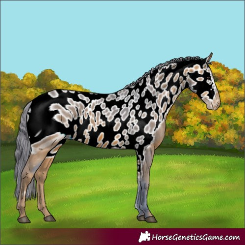 Horse Color:ERROR: UNKNOWN ANOMALY