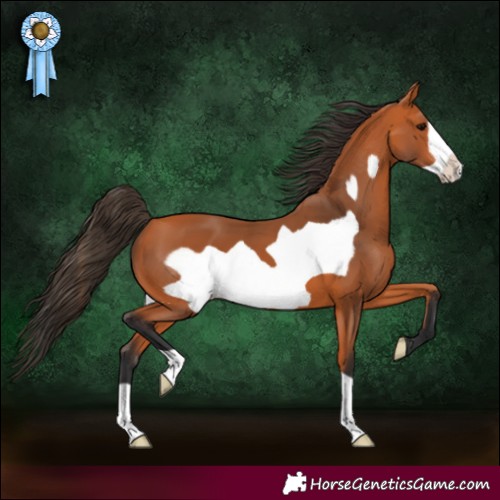 Horse Color:Bay Frame 