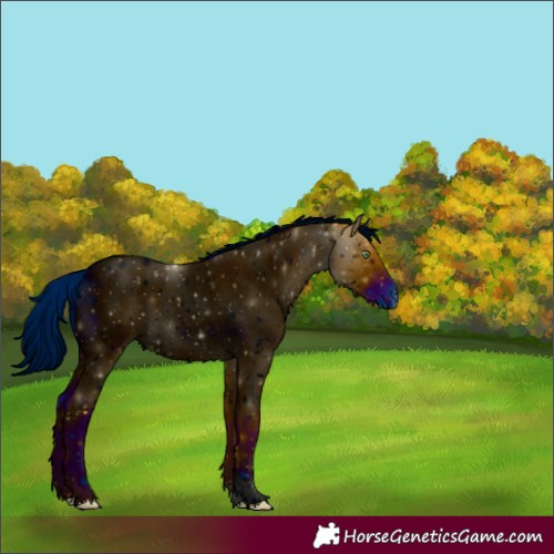 Horse Color:ERROR: UNKNOWN ANOMALY