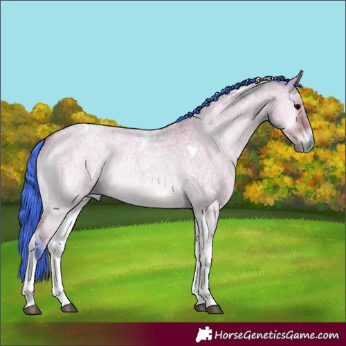 Horse Color:Watercolor Bay Roan Onyx Tobiano 