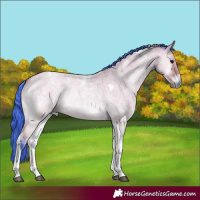 Horse Color:Watercolor Bay Roan Onyx Tobiano 