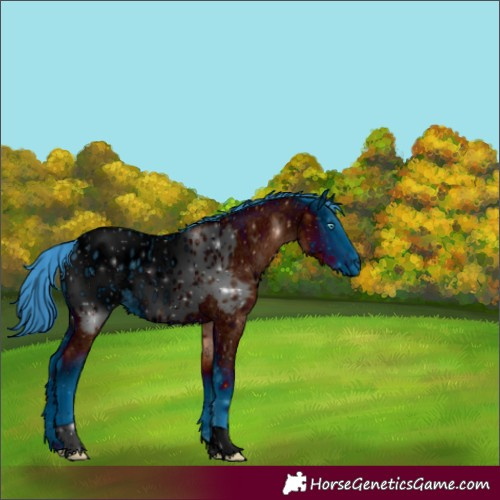 Horse Color:ERROR: UNKNOWN ANOMALY