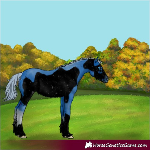 Horse Color:ERROR: UNKNOWN ANOMALY