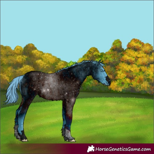 Horse Color:ERROR: UNKNOWN ANOMALY