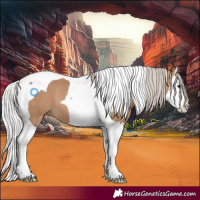 Horse Color:Silver Bay Dun Splash Tobiano 