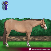 Horse Color:Amber Champagne Rabicano