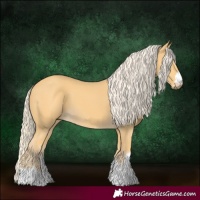 Horse Color:Palomino 
