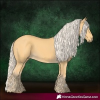 Horse Color:Palomino 