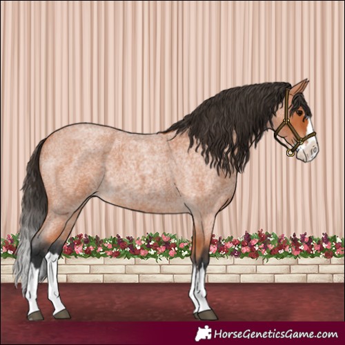 Horse Color:Unknown 