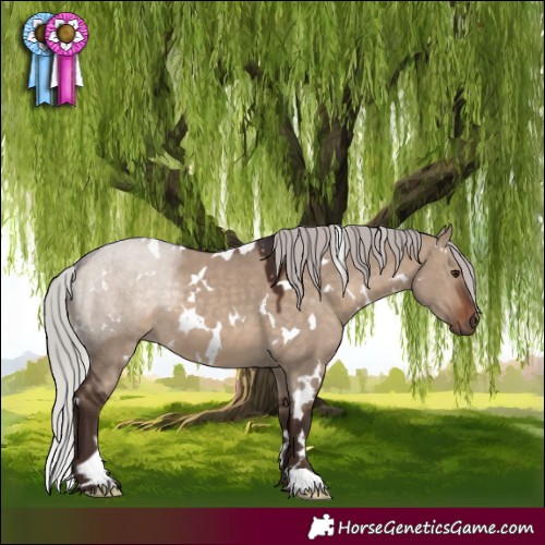 Horse Color:White Spotted Silver Brown Dun 