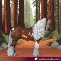 Horse Color:White Spotted Silver Brown Tobiano