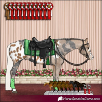 Horse Color:Smoky Black Sabino Appaloosa  and Silver Buckskin Appaloosa 