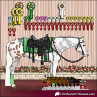 Horse Color:Smoky Black Sabino Appaloosa  and Silver Buckskin Appaloosa 
