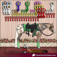 Horse Color:Smoky Black Sabino Blanket  and Silver Buckskin Blanket 