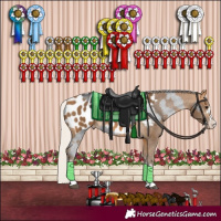 Horse Color:Smoky Black Sabino Blanket  and Silver Buckskin Blanket 