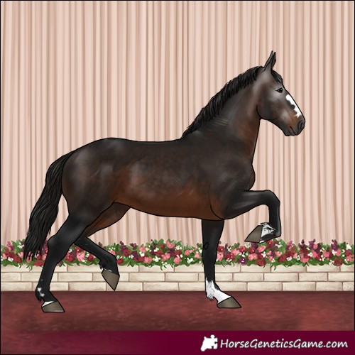 Horse Color:Gray Bay 