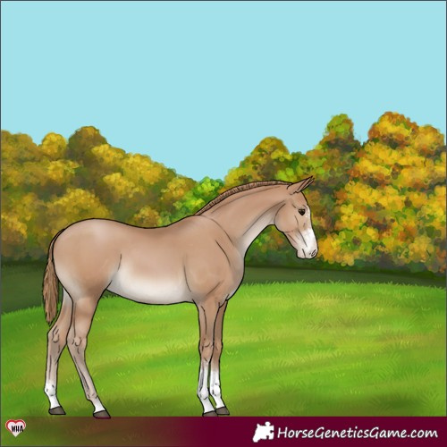 Horse Color:Black Pearl Sabino Varnish 
