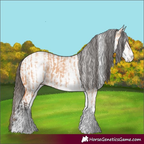 Horse Color:White Spotted Bay Dun Rabicano  and White Spotted Amber Champagne Dun Rabicano 