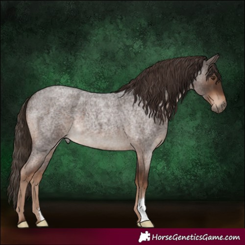 Horse Color:Liver Red Roan 