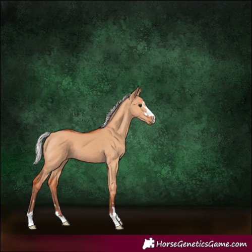 Horse Color:Silver Bay Dun 
