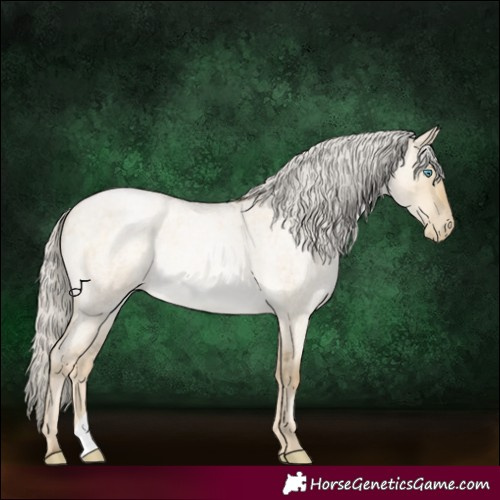 Horse Color:Silver Buckskin Roan Pearl Dun 
