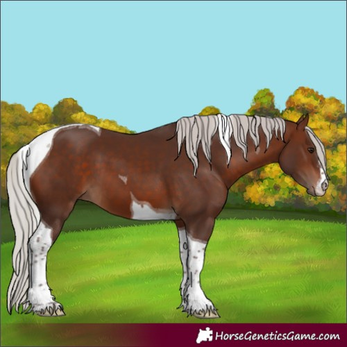 Horse Color:White Spotted Silver Brown Tobiano 