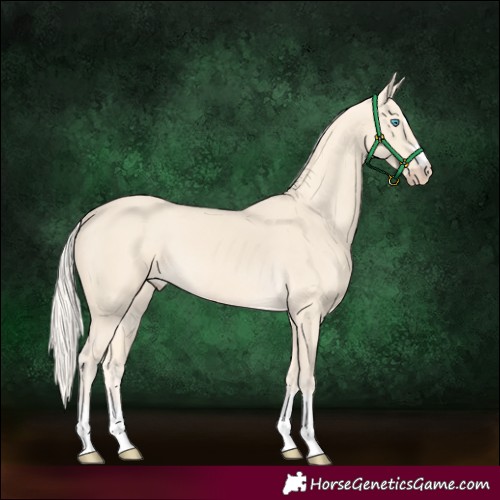 Horse Color:Cremello 