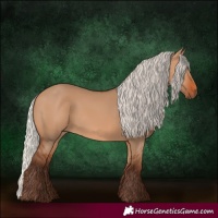 Horse Color:Silver Bay Dun 