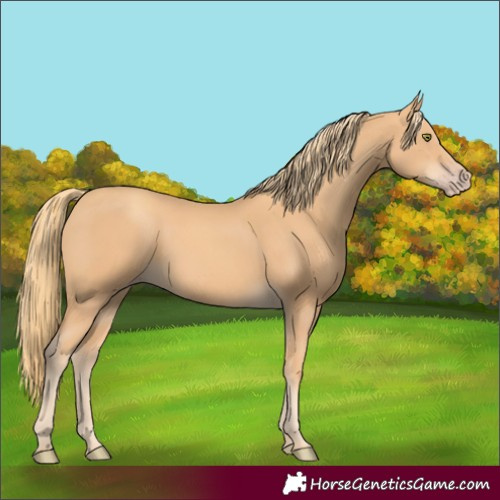Horse Color:Unknown 