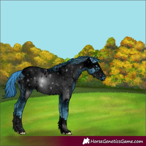 Horse Color:ERROR: UNKNOWN ANOMALY