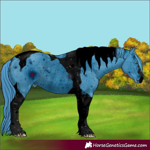 Horse Color:ERROR: UNKNOWN ANOMALY