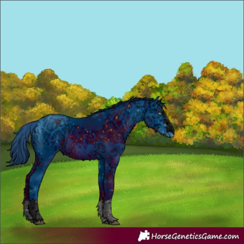 Horse Color:ERROR: UNKNOWN ANOMALY