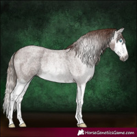 Horse Color:Gray Red Roan Splash 