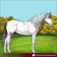 Horse Color:Gray Sable Cream Champagne Tobiano Frame 