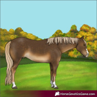 Horse Color:Chocolate Palomino Mushroom 
