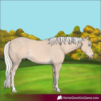 Horse Color:Cremello Mushroom 
