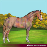 Horse Color:Nacre Chestnut 